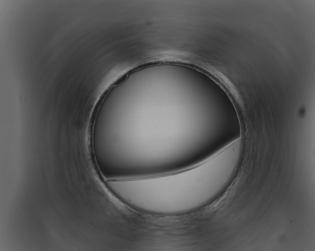 X0000090421285200707130939