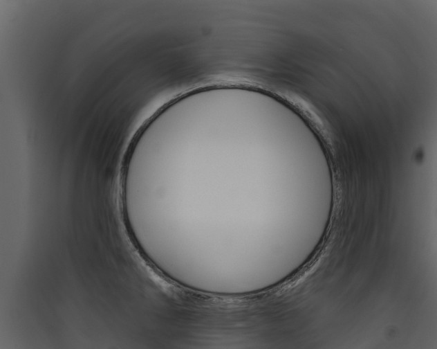 X0000090421286200707130939