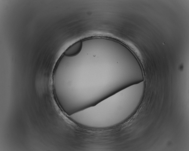 X0000090421287200707130938