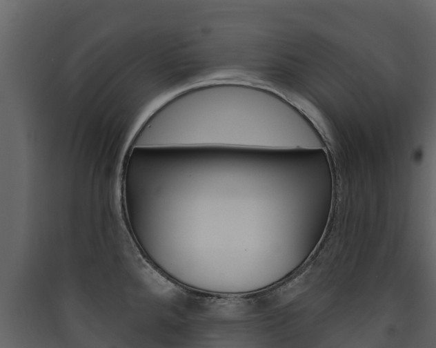 X0000090421288200707130938