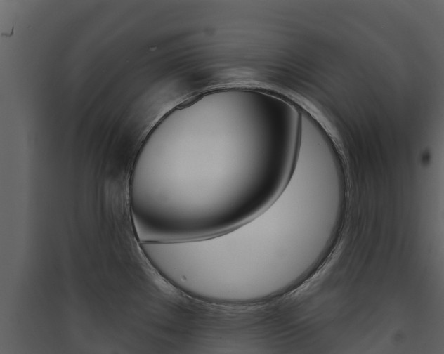 X0000090421289200707130938