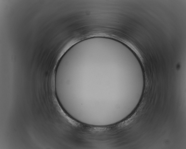 X0000090421290200707130938