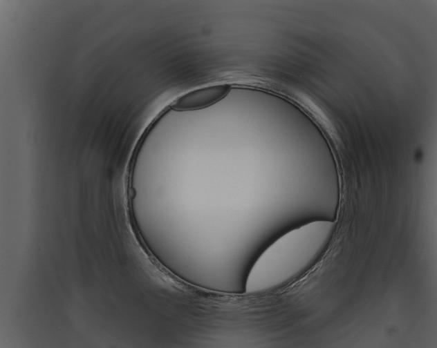 X0000090421291200707130938