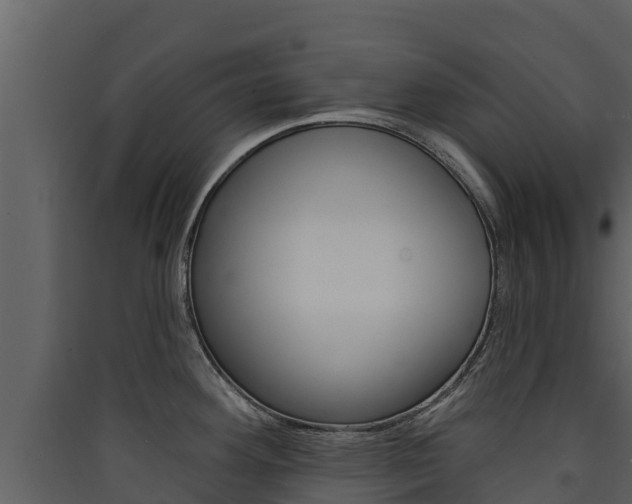 X0000090421292200707130938