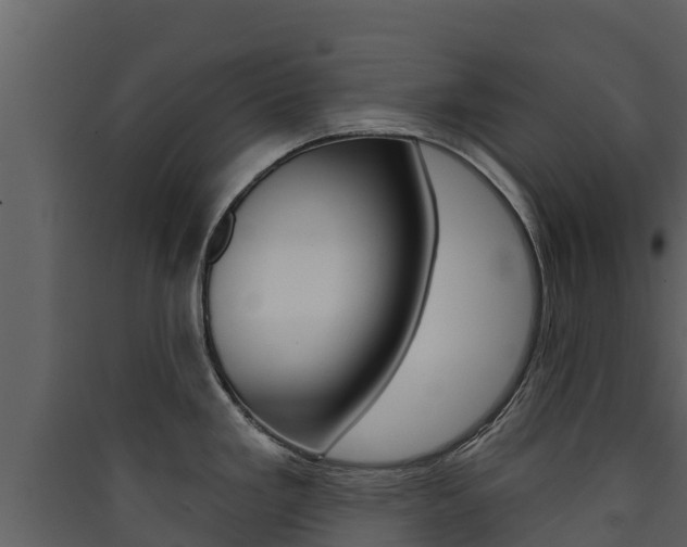 X0000090421293200707130938