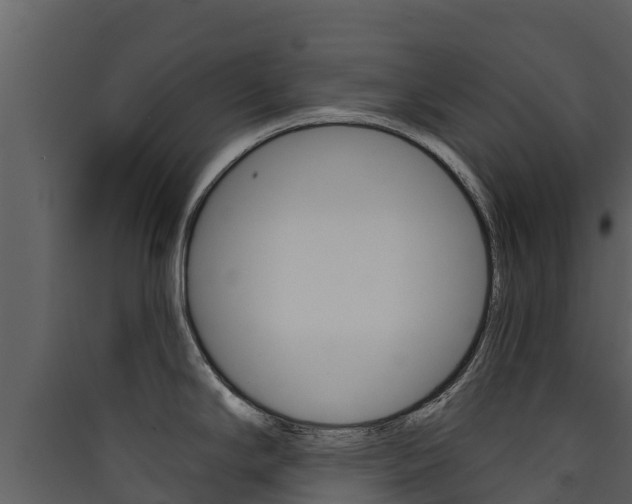 X0000090421294200707130938