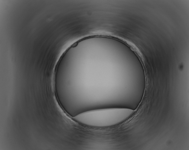 X0000090421295200707130938