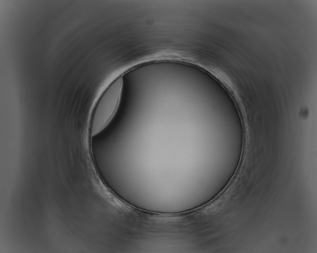 X0000090421296200707130938