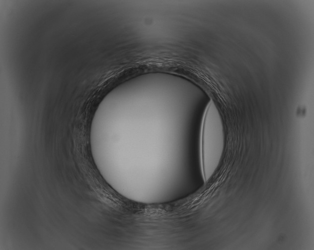 X0000090421297200707130938