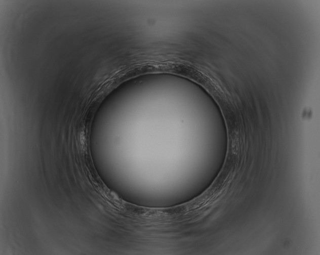 X0000090421298200707130938