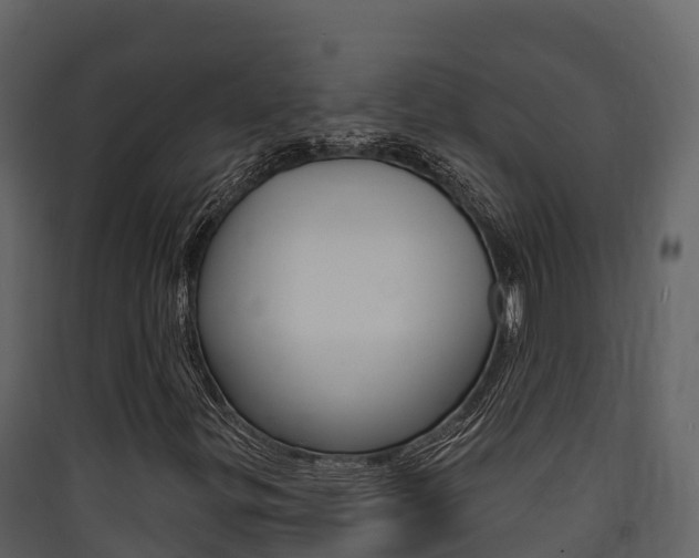 X0000090421299200707130938