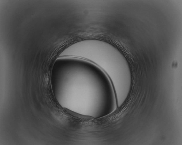 X0000090421300200707130938