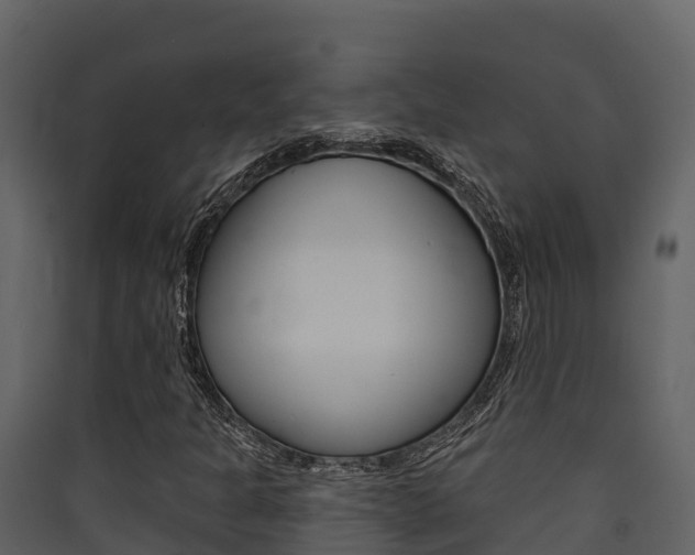 X0000090421301200707130938