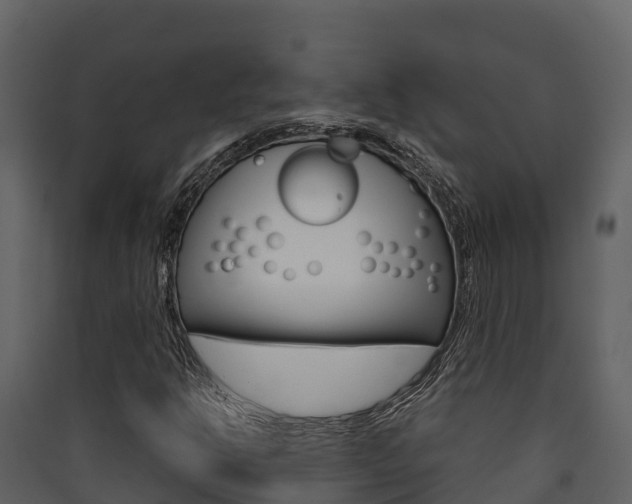 X0000090421302200707130938