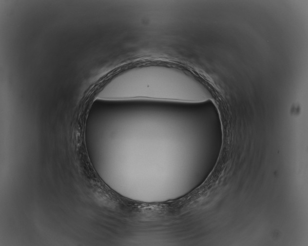 X0000090421303200707130938