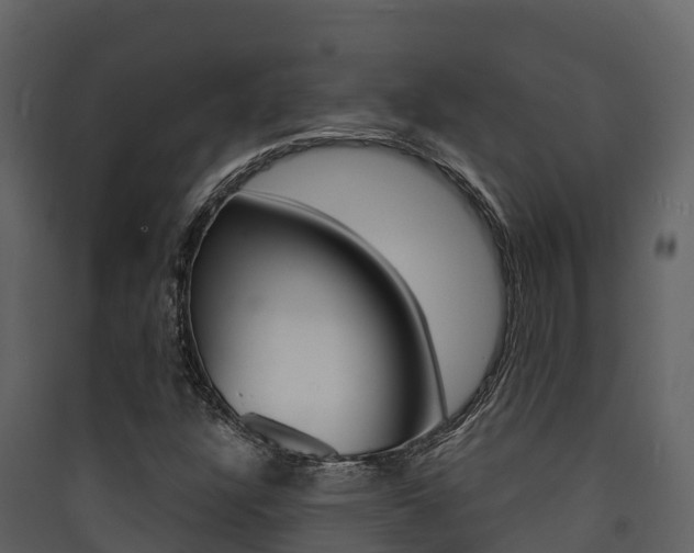 X0000090421304200707130938