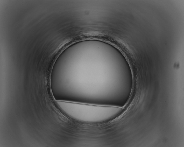 X0000090421305200707130938
