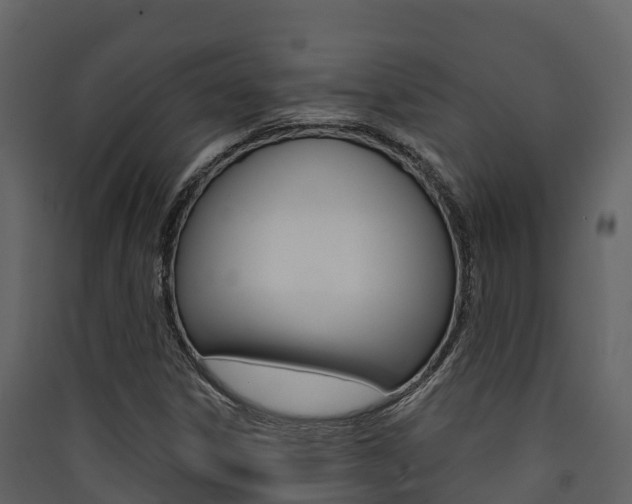 X0000090421306200707130938