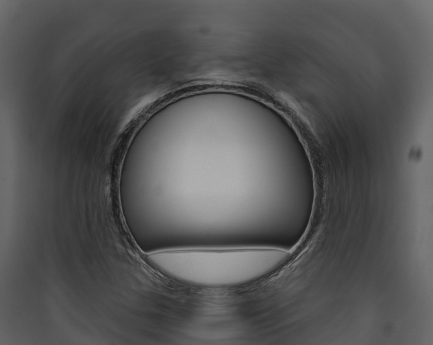 X0000090421307200707130938