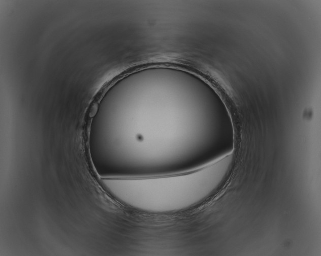 X0000090421308200707130938