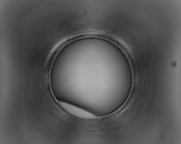 X0000090421310200707130938