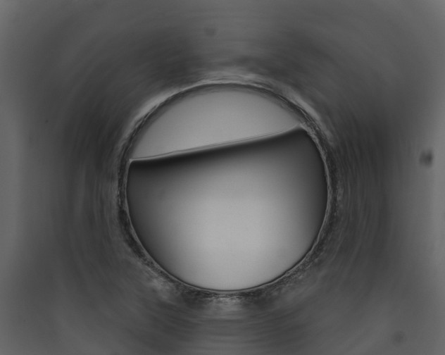 X0000090421315200707130938