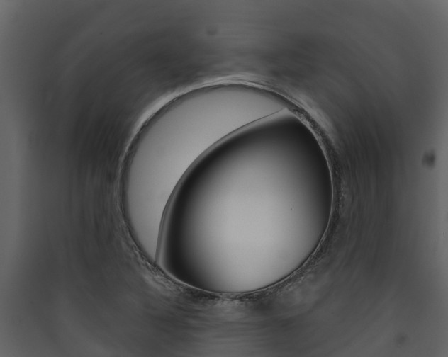 X0000090421316200707130938
