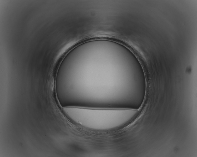 X0000090421317200707130938