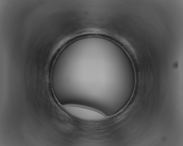 X0000090421318200707130938