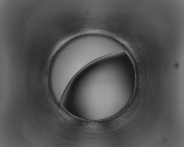 X0000090421319200707130938