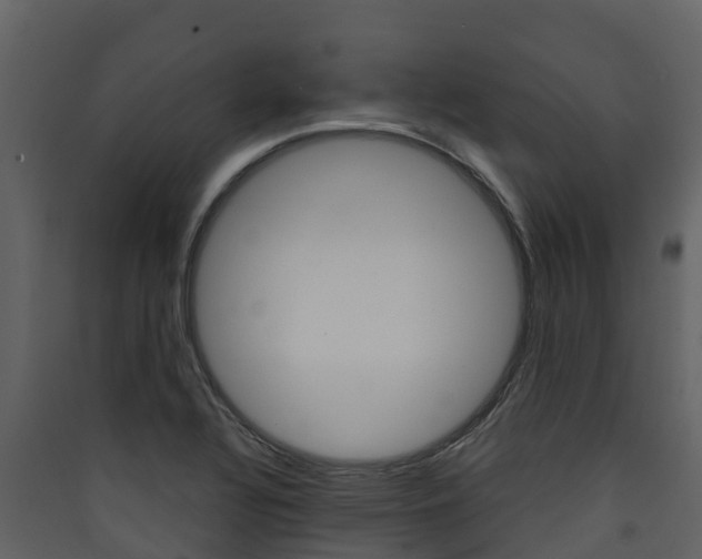 X0000090421320200707130938