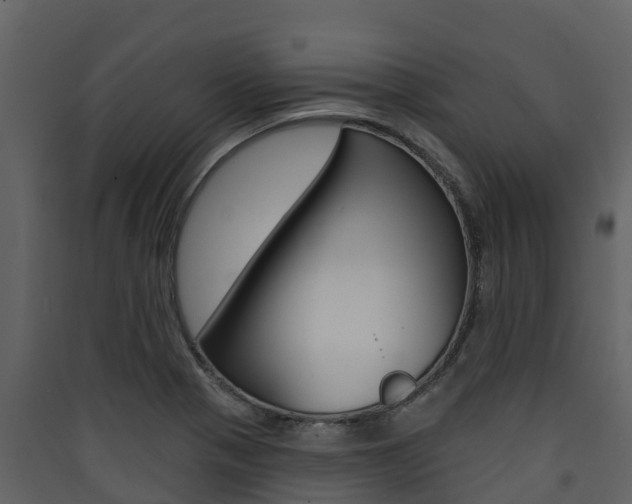 X0000090421321200707130938
