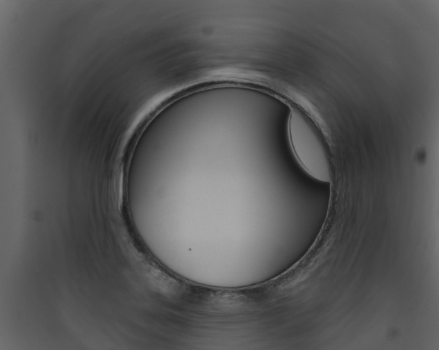 X0000090421323200707130938