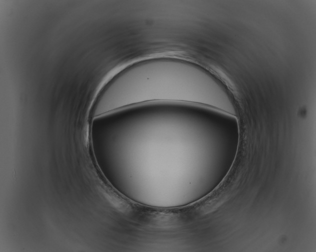 X0000090421324200707130938