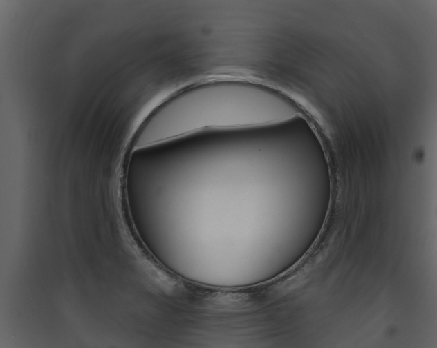 X0000090421325200707130938