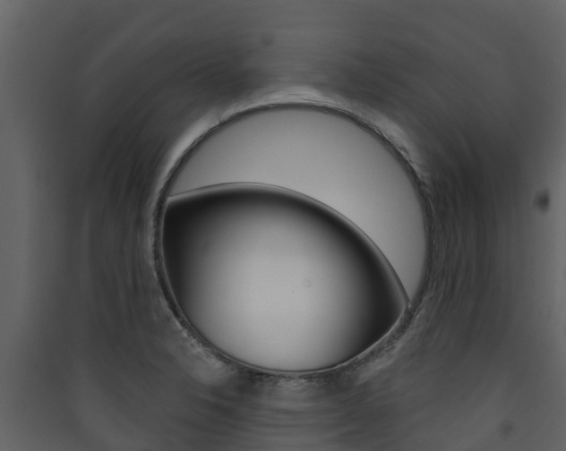 X0000090421326200707130938