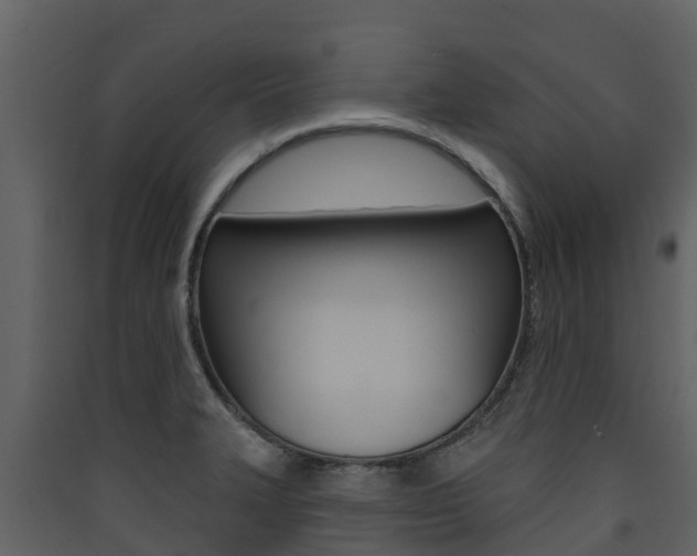 X0000090421327200707130938