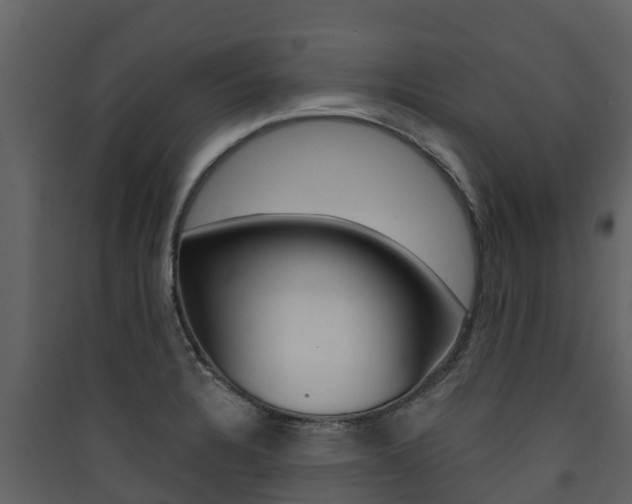 X0000090421328200707130938