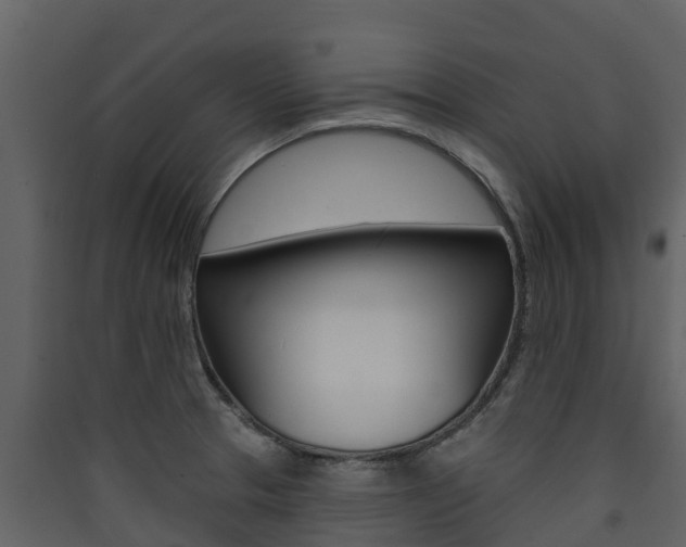 X0000090421329200707130938