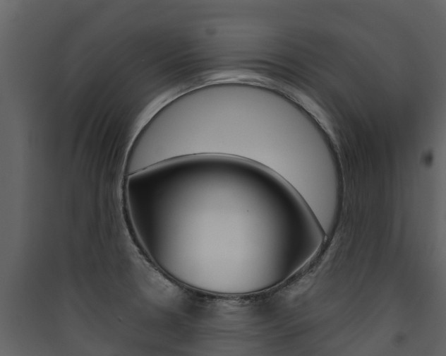 X0000090421330200707130938