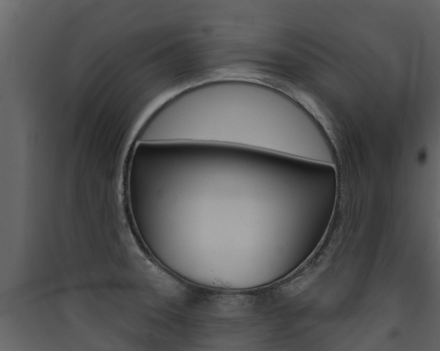 X0000090421331200707130938
