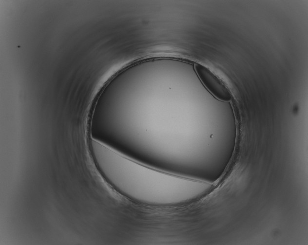 X0000090421333200707130938