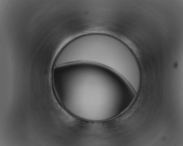 X0000090421334200707130938