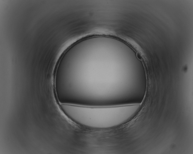 X0000090421335200707130938