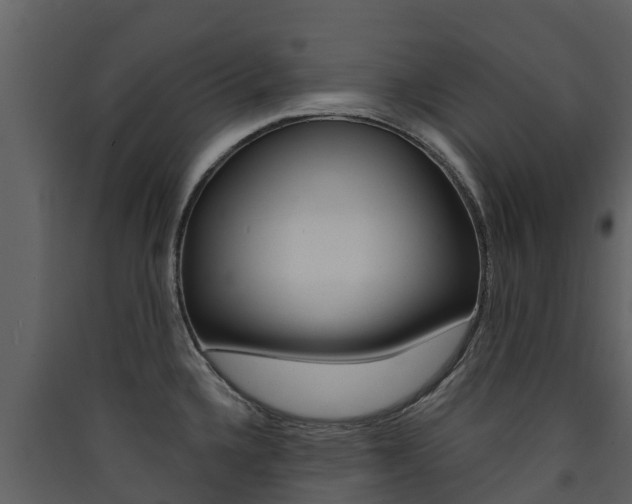 X0000090421336200707130938