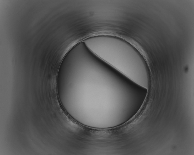 X0000090421337200707130938