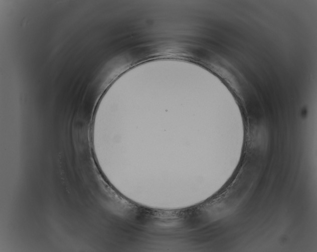 X0000090421338200707130938
