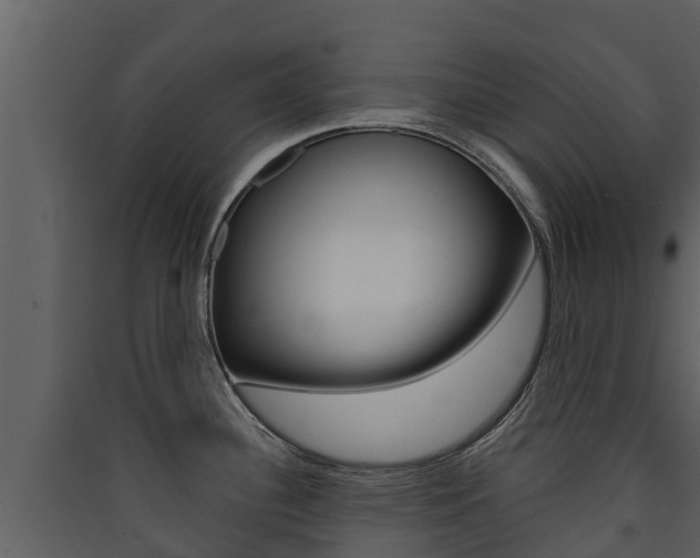 X0000090421340200707130938