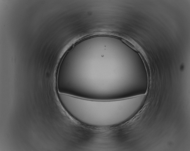 X0000090421341200707130938