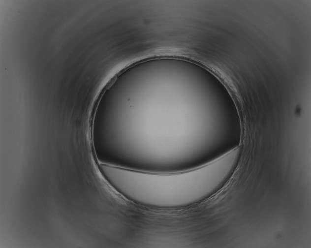 X0000090421342200707130938